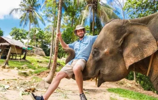 Elephant Safari Village Tour experience in Jaipur with traditional elephant ride