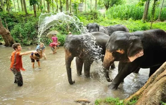 Family participating in Elephant Safari Village Tour in Jaipur village setting