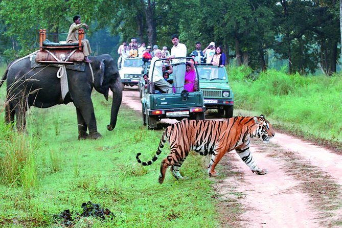 3 Days Delhi to Jim Corbett Tour Package